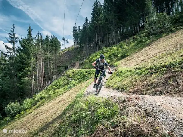 Location de Vacances Autriche, Salzburgerland, Muhlbach, appartement - Hochkönig Ferien VTT
