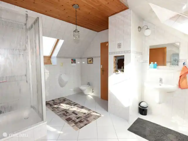Location de Vacances Allemagne, Eifel, Meisburg, maison de vacances - Hopfi Husli Belle salle de bain spacieuse avec WC, urinoir, bidet, douche et lavabo.