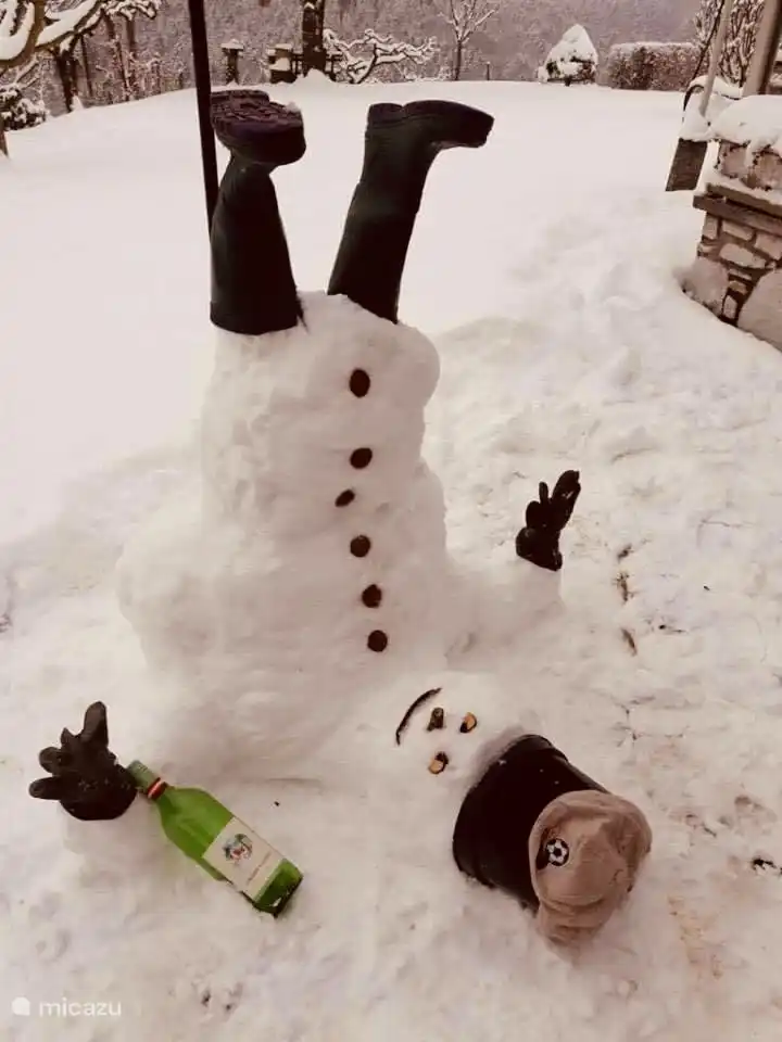 Tu viens toi aussi construire un bonhomme de neige :)