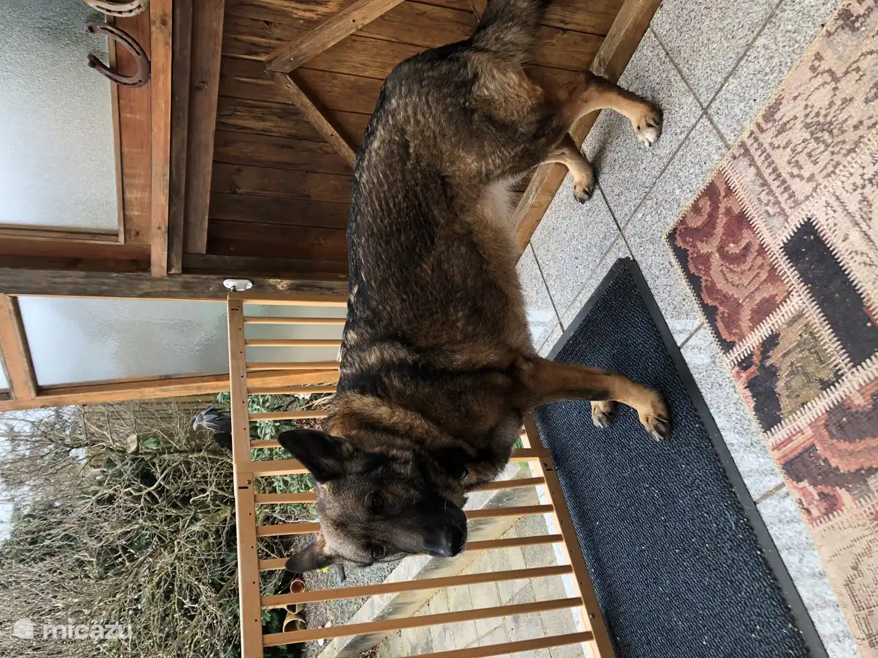 Greifa montre qu'on peut aussi fermer la véranda avec un portail, c'est sympa !