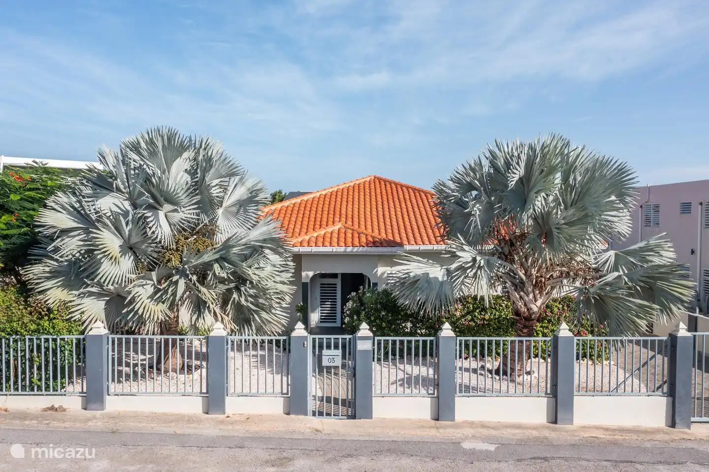 Puede reconocer el frente de la casa por las dos hermosas palmeras de color gris verdoso en el patio delantero.