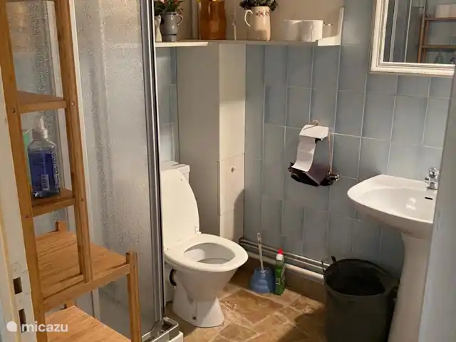 Araña de la casa en Francia, Nièvre, Epiry - casa vacacional 2º baño