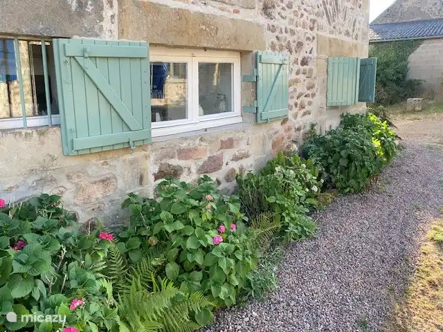 Araña de la casa en Francia, Nièvre, Epiry - casa vacacional