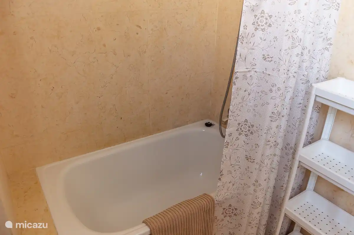 Apartment-Badezimmer: Dusche in der Badewanne