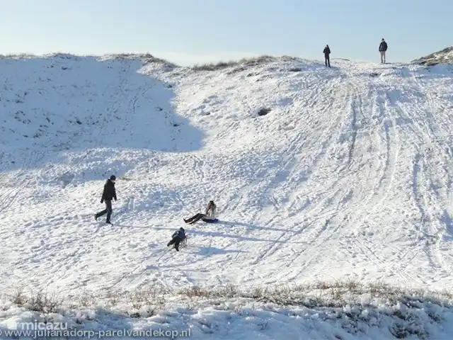 Duynopgangh 5 Julianadorp aan Zee | Pays-Bas, Hollande du Nord, Julianadorp aan Zee - bungalow En hiver, faites de la luge depuis les dunes de Julianadorp.