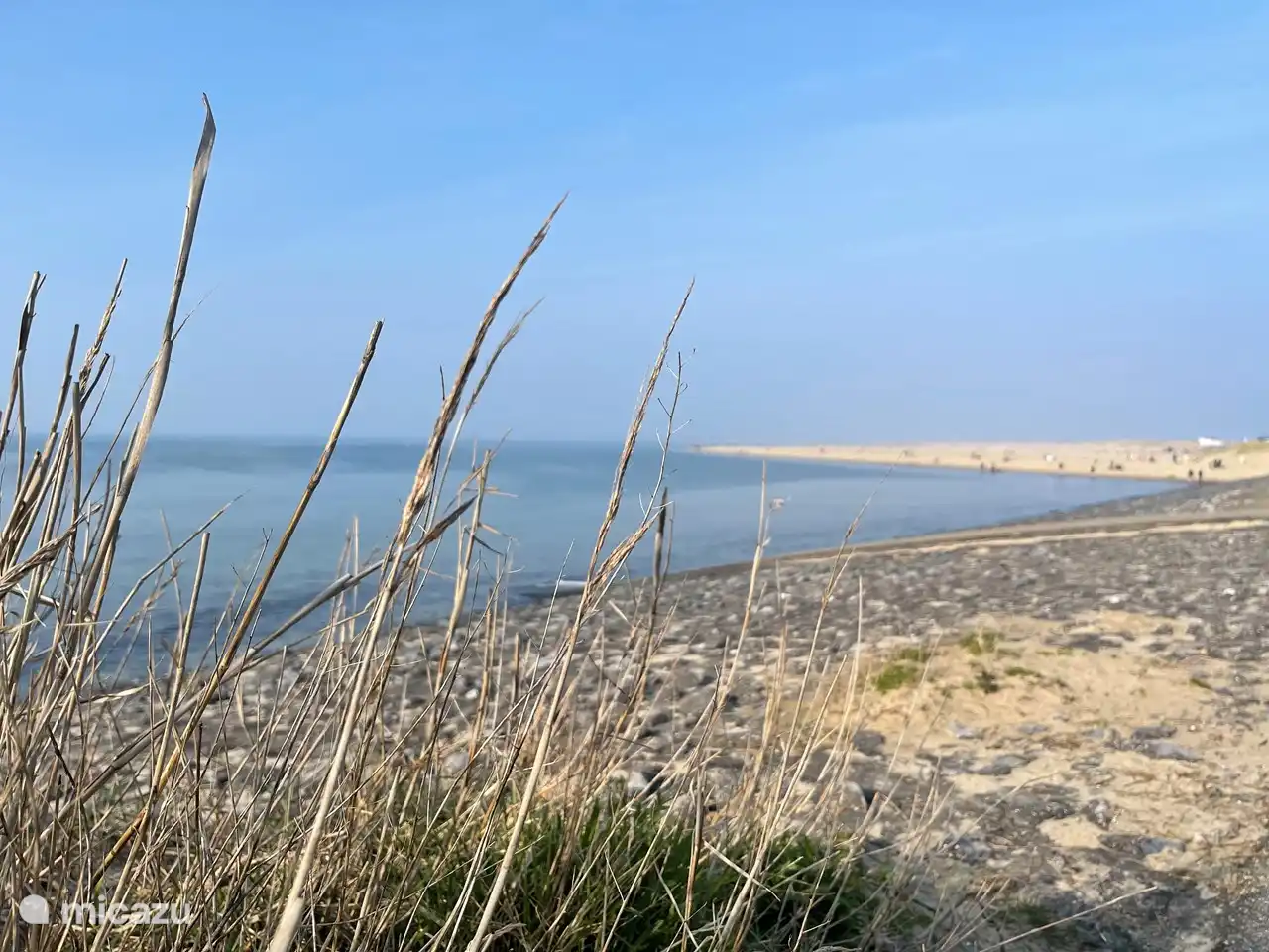 Blick über den Strand von Zeeland mit Dünengras im Vordergrund und dem beruhigenden Meer im Hintergrund. Hier erleben Sie den wahren Charme von Zeeland: Natur, Stille und Weite.