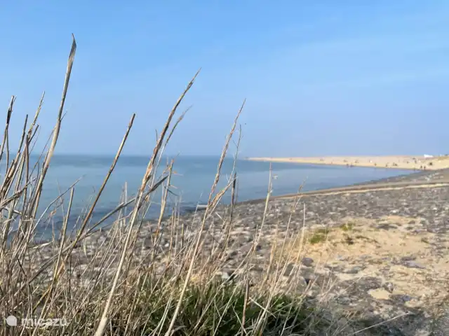 Villa Rein | Pays-Bas, Zélande, Renesse - maison de vacances Vue sur la plage de Zélande avec l’herbe des dunes au premier plan et la mer apaisante en arrière-plan. Ici, vous découvrirez le vrai charme de la Zélande : la nature, le silence et l’espace.