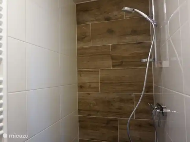 Landhaus Kreuzenberg huren in Duitsland, Eifel, Malbergweich - vakantiehuis douche bij slaapkamer
