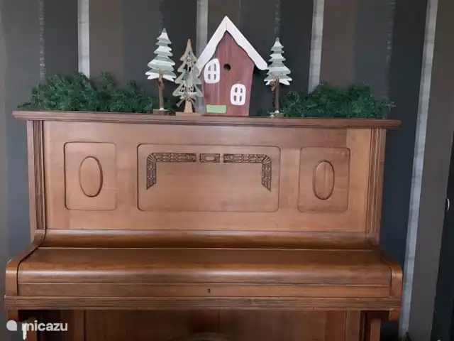 Landhaus Kreuzenberg huren in Duitsland, Eifel, Malbergweich - vakantiehuis Piano in woonkamer