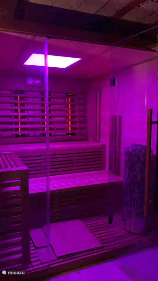 Sauna tradicional finlandesa con radiadores de espectro completo