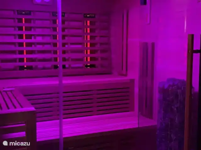 Landhaus Kreuzenberg huren in Duitsland, Eifel, Malbergweich - vakantiehuis Finse traditionele sauna met full spectrumstralers