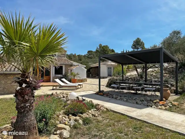Casa Grilló en España, Costa Blanca, Lliber - finca La pérgola con una de las palmeras washingtonia en primer plano
