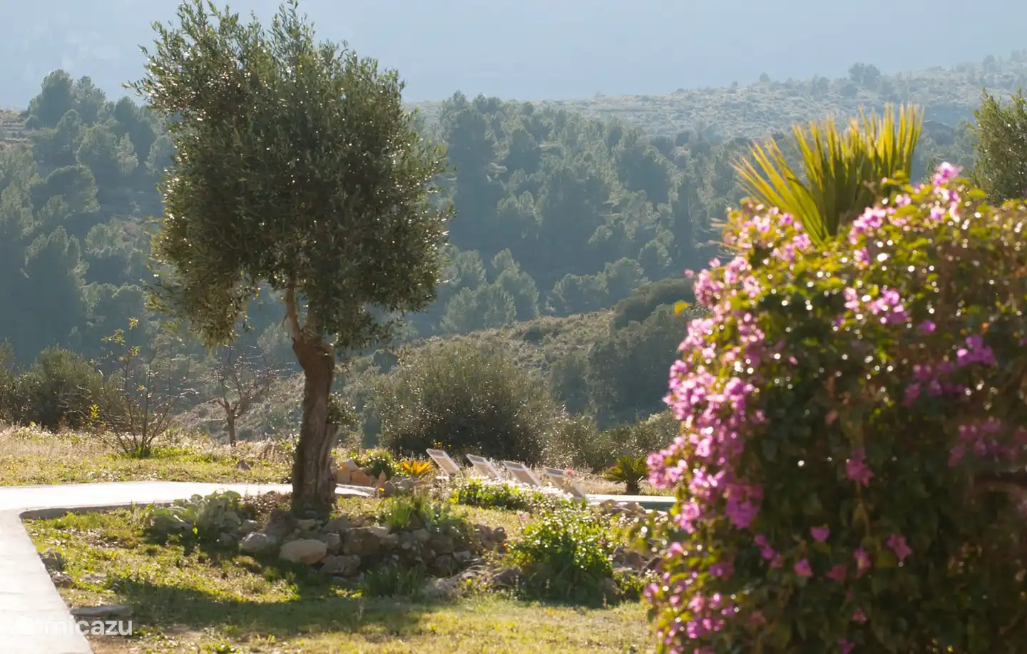 Ein stimmungsvolles Foto des Hofes und des Pflanzens im Winter
