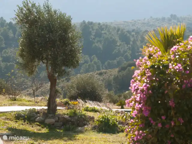 Casa Grilló en España, Costa Blanca, Lliber - finca Una foto atmosférica del jardín y la plantación en invierno.
