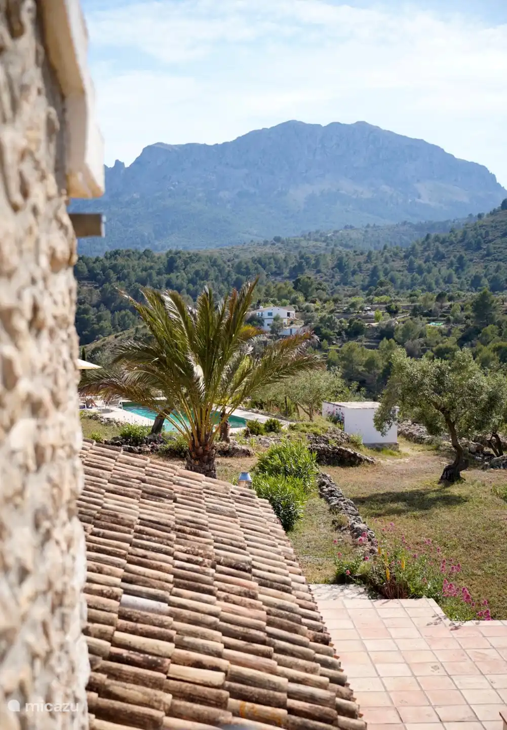 Ein Blick mit einer der Dattelpalmen in Sichtweite