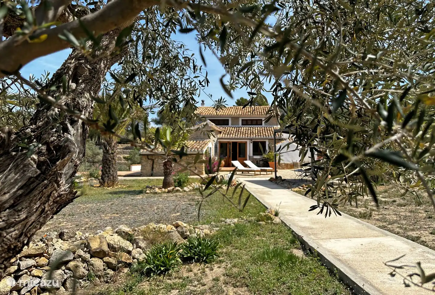 Die Vorderseite des Hauses durch das Laub eines der vielen Olivenbäume im Hof gesehen.