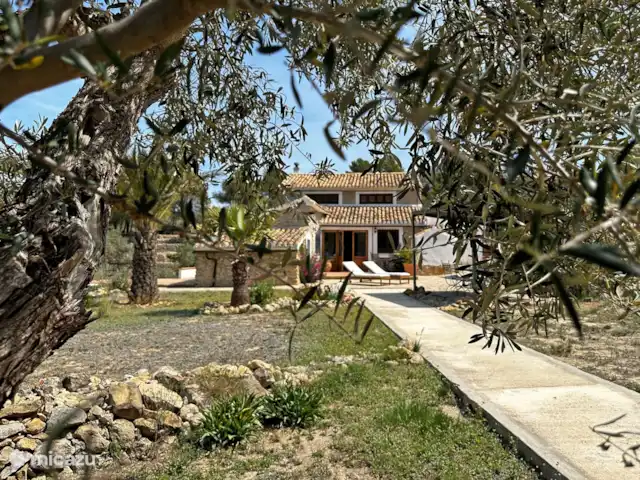 Casa Grilló en España, Costa Blanca, Lliber - finca El frente de la casa visto a través del follaje de uno de los muchos olivos del patio.