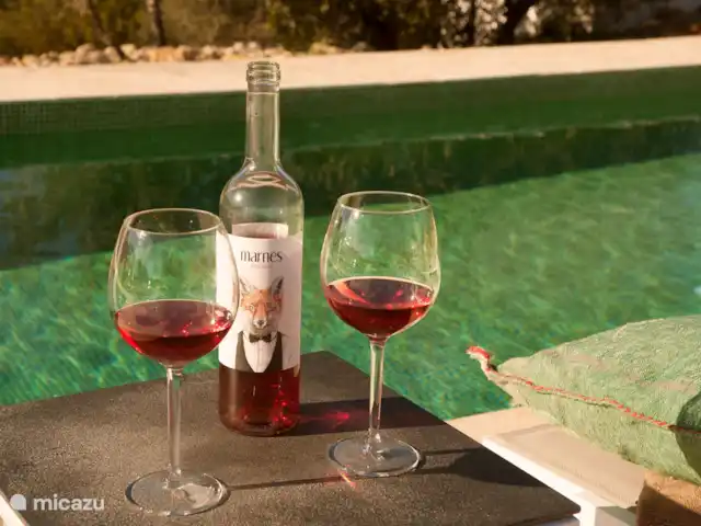 Casa Grilló en España, Costa Blanca, Lliber - finca Un vino veraniego en la espaciosa piscina de agua salada con hermosos azulejos verdes