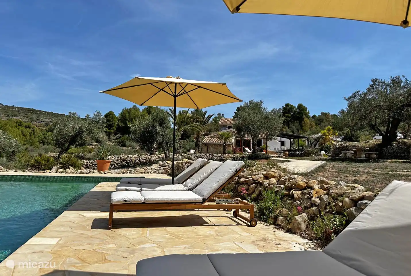 Sonnenliegen aus nachhaltigem, schnell wachsendem Holz, das keine Zerstörung von Regenwäldern erfordert