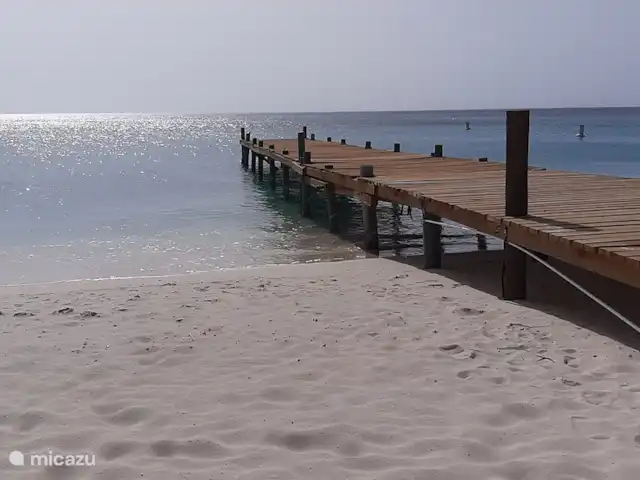Casa Serena en Aruba, Norte, Noord - apartamento playa de palmeras