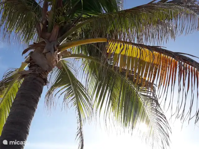 Casa Serena en Aruba, Norte, Noord - apartamento BebéPlaya