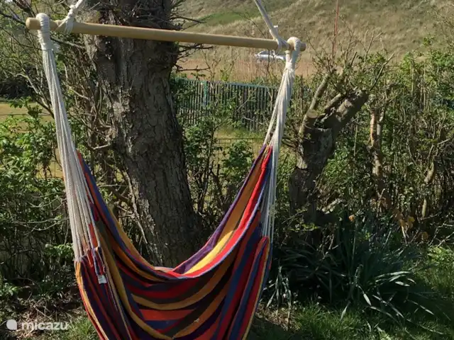 Kiwi | Pays-Bas, Hollande du Nord, Julianadorp aan Zee - bungalow hanmat dans le jardin