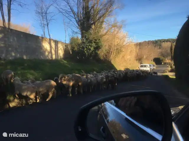 Casa 'Stokhorst' en Francia, Var, Salernes  - villa A veces pasa el pastor...