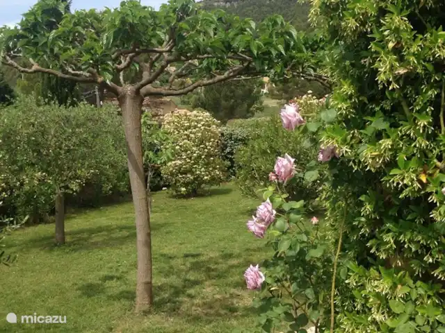 Casa 'Stokhorst' en Francia, Var, Salernes  - villa Adelfas.. Rosas.. todo tiene color en el jardín de la Maison “Stokhorst”.