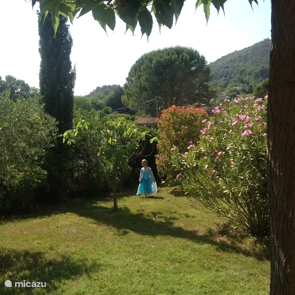 Blumen und Pflanzen ...