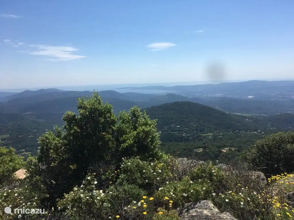 Gehen Sie in der Nähe der Küste..