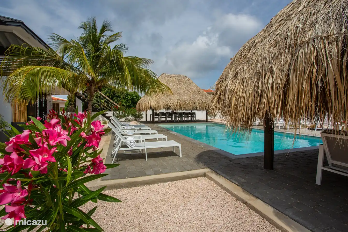 Transats au bord de la piscine