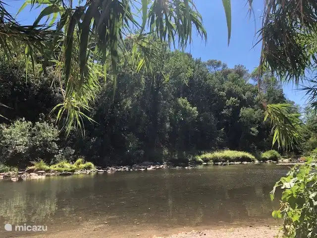 Entspannen Sie sich auf der Céze in Goudargues
