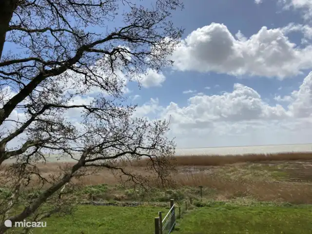 el pecador en Países Bajos, Frise, Sondel - casa vacacional El IJsselmeer en el Mirnser Klif