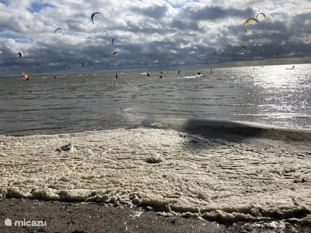 el pecador en Países Bajos, Frise, Sondel - casa vacacional Kitesurfistas en el IJsselmeer