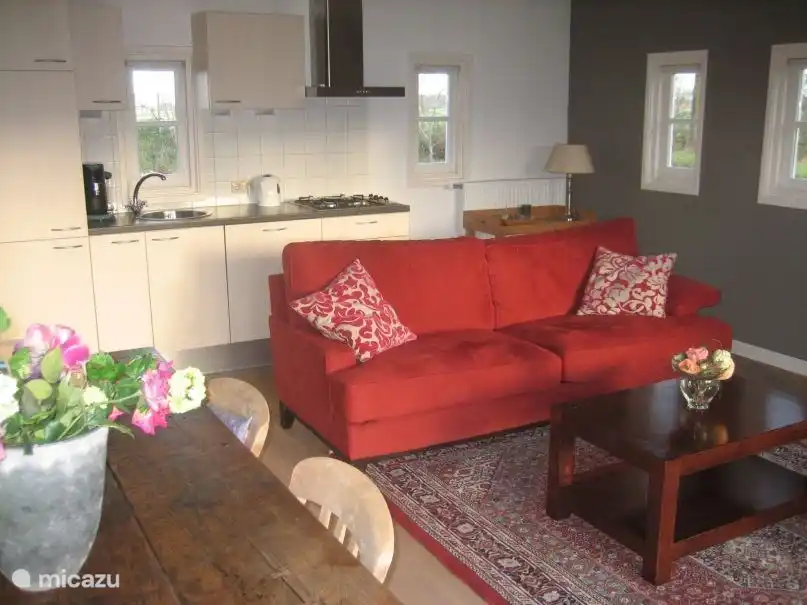 Le canapé dans le salon avec la cuisine ouverte derrière.