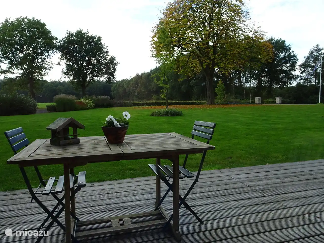 La vue depuis le salon.