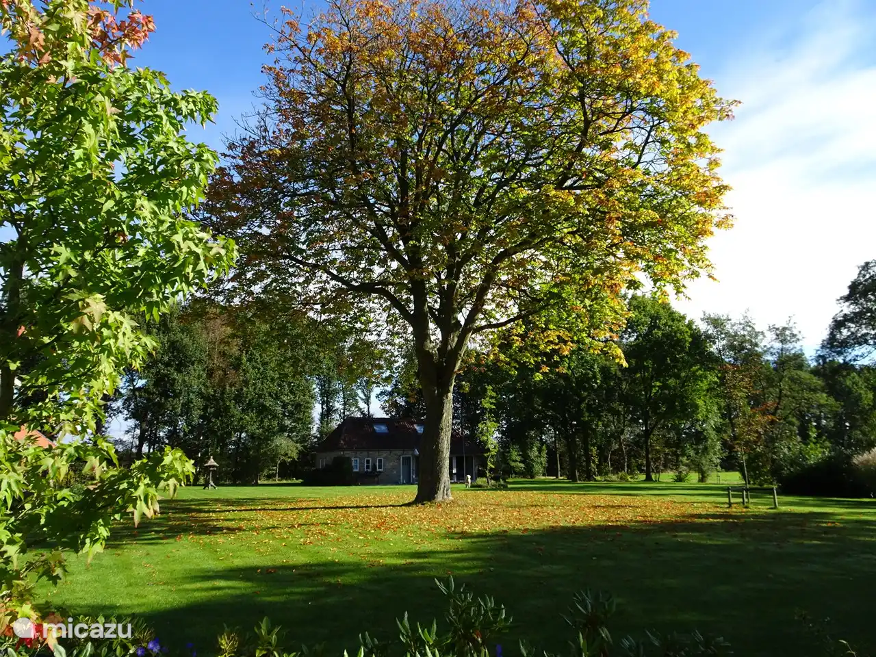 Le jardin du parc avec le chalet au loin.