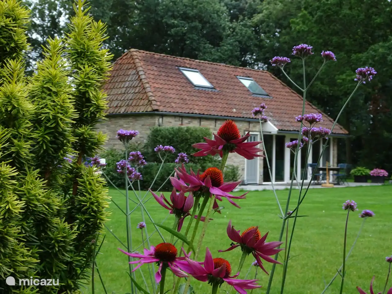 La maison derrière les fleurs.