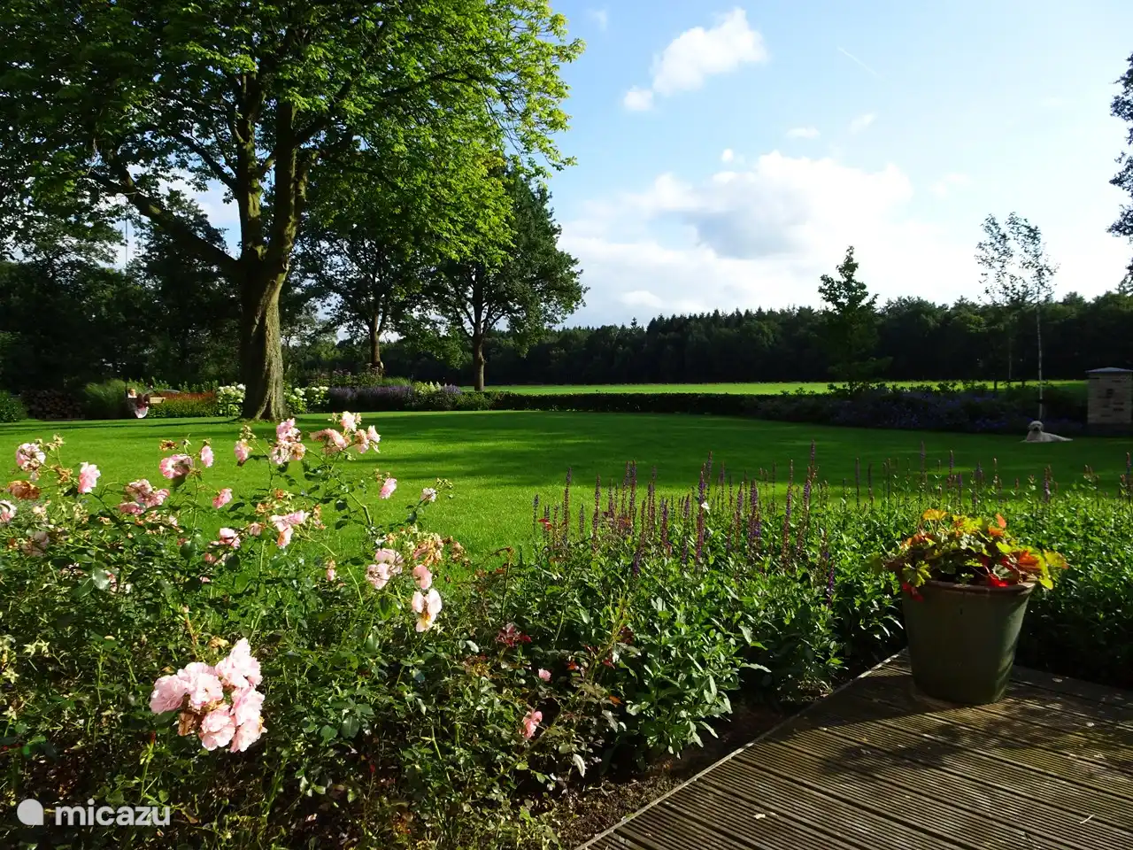 Vue sur jardin et prairie