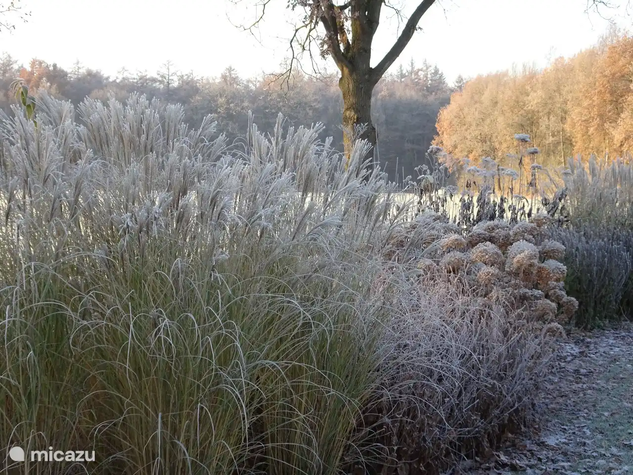 Le jardin du parc en hiver.