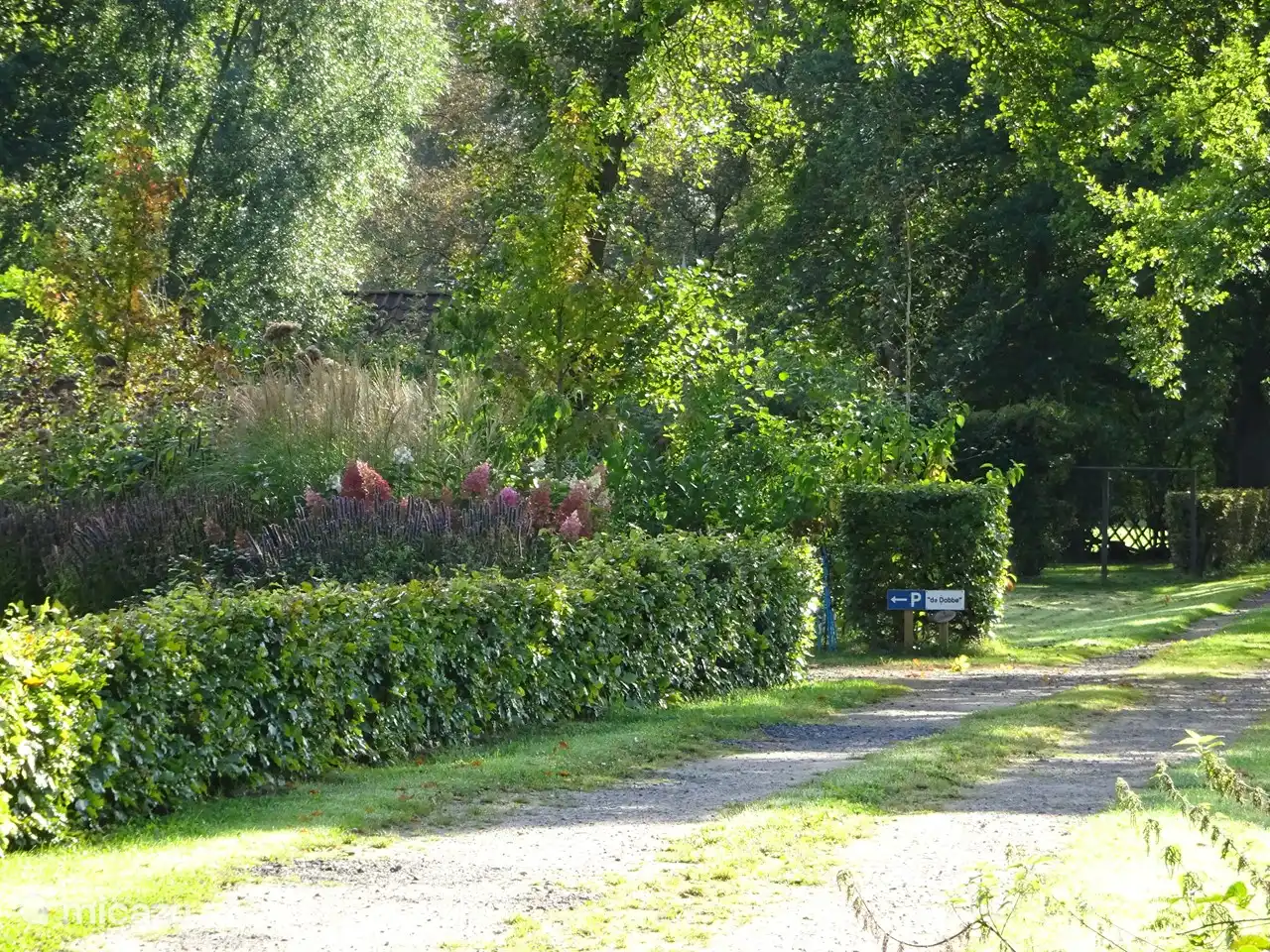 L'allée menant au parking de la maison.