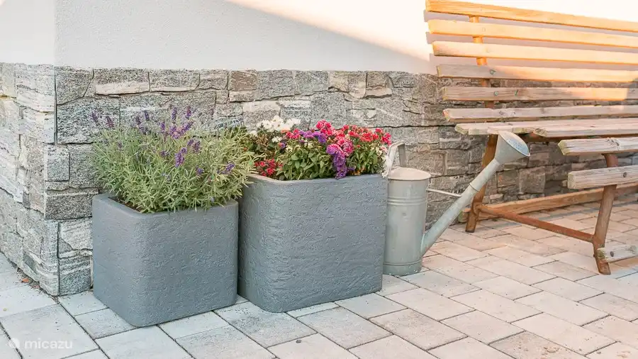 Pflanzen detaillieren