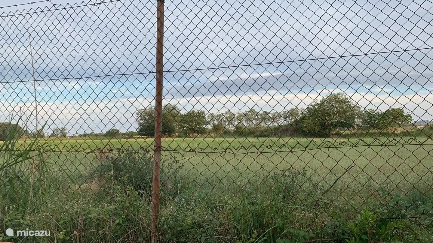 Unobstructed view from our garden.