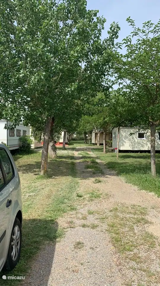 Camping road in front of our mobile home, beautiful green and sheltered.