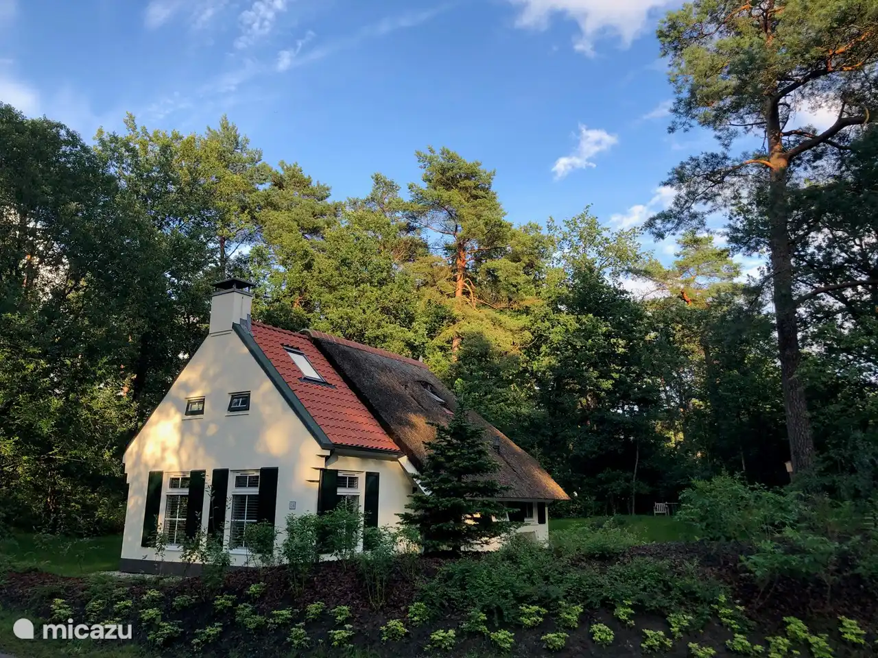 ferienhaus, Wittelte, Drenthe, Niederlande - Das Bosryck (Preis ist All-in)