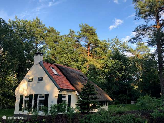 Holiday home in Netherlands, Drenthe – bungalow The Bosryck (price is All-in)