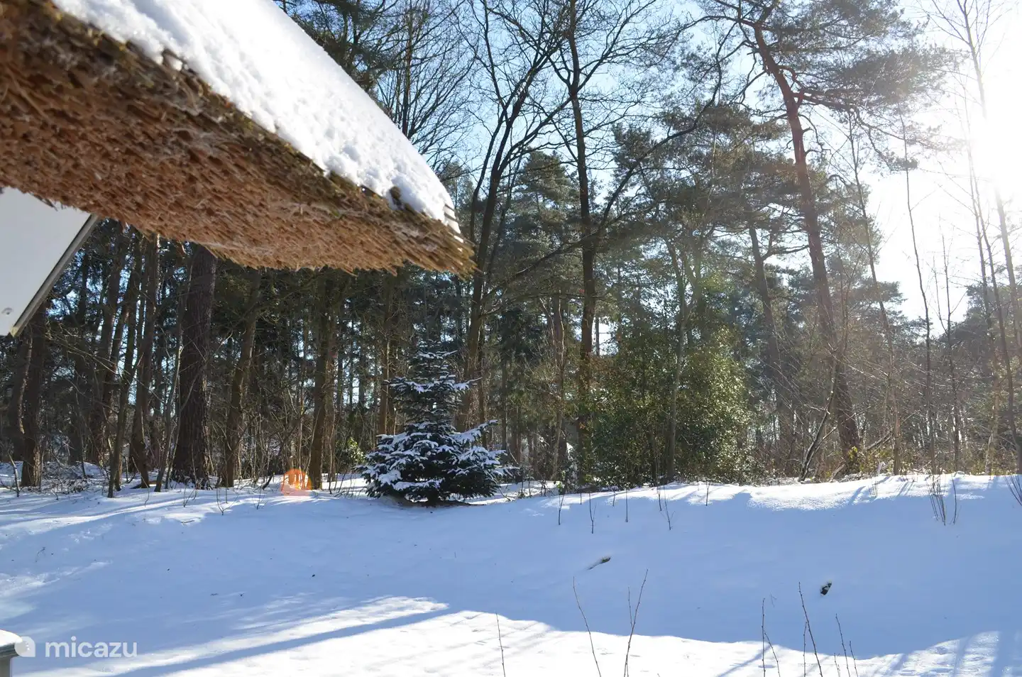 Blick in den Hinterhof