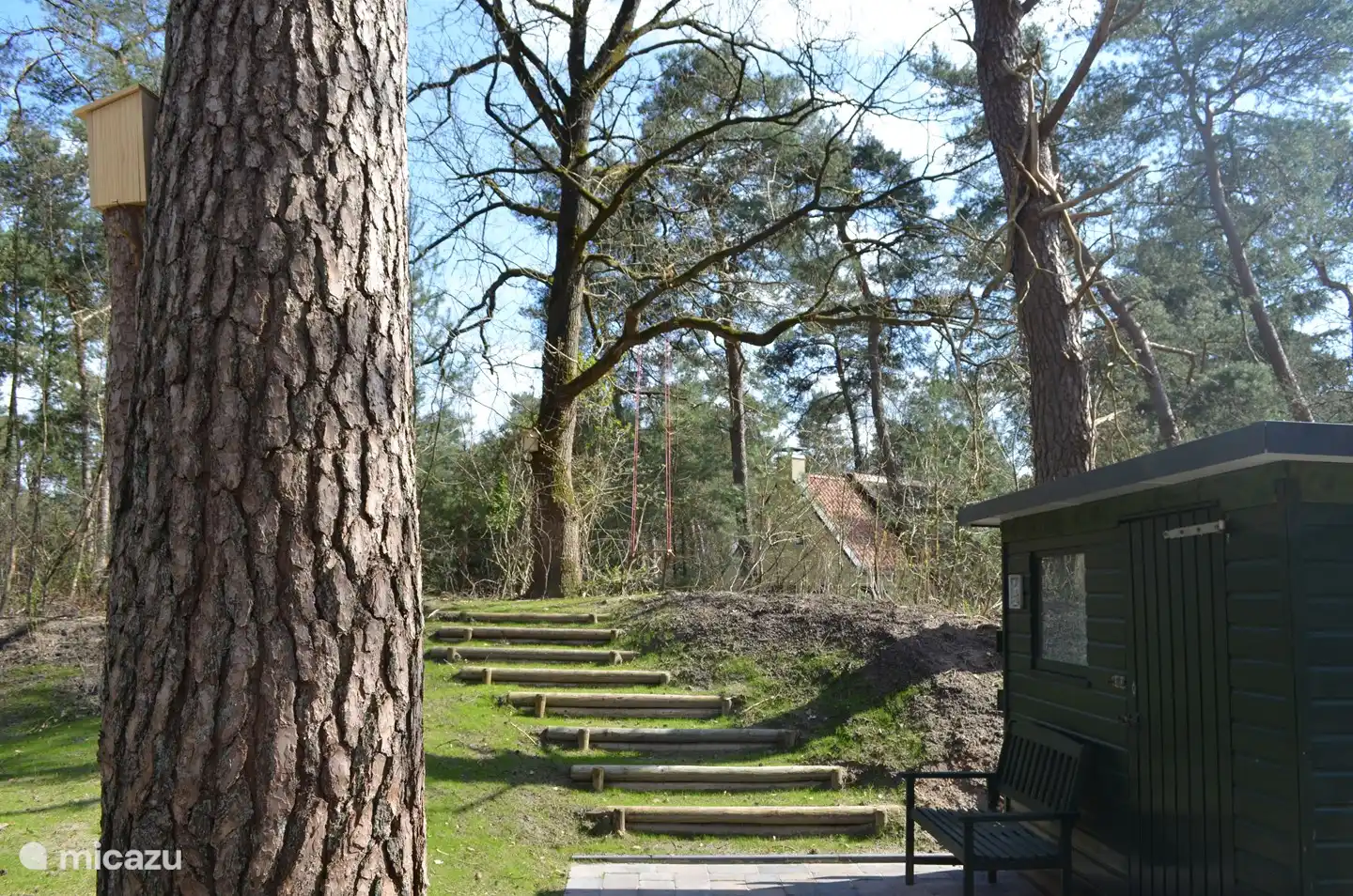 Garten mit grüner Treppe zum Schaukeln