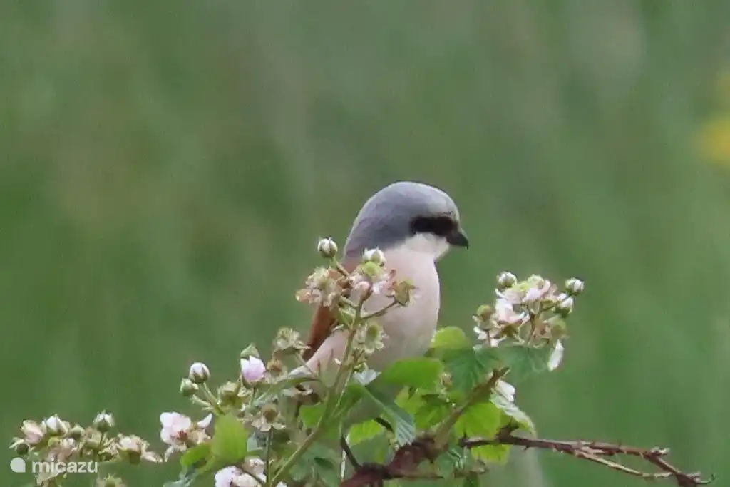 Begegnungen unterwegs in der Natur