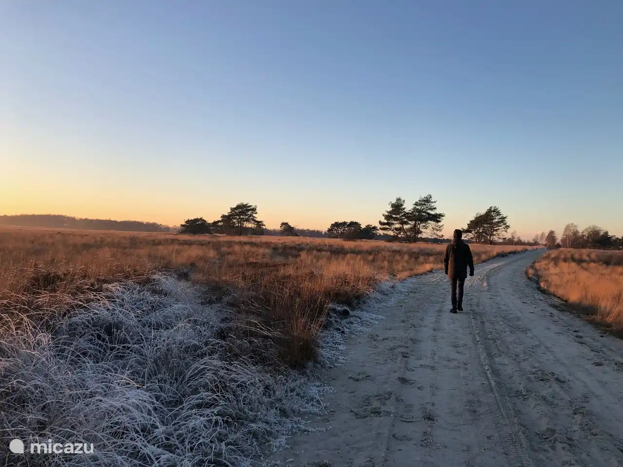 Natur in der Umgebung von Het Bosryck